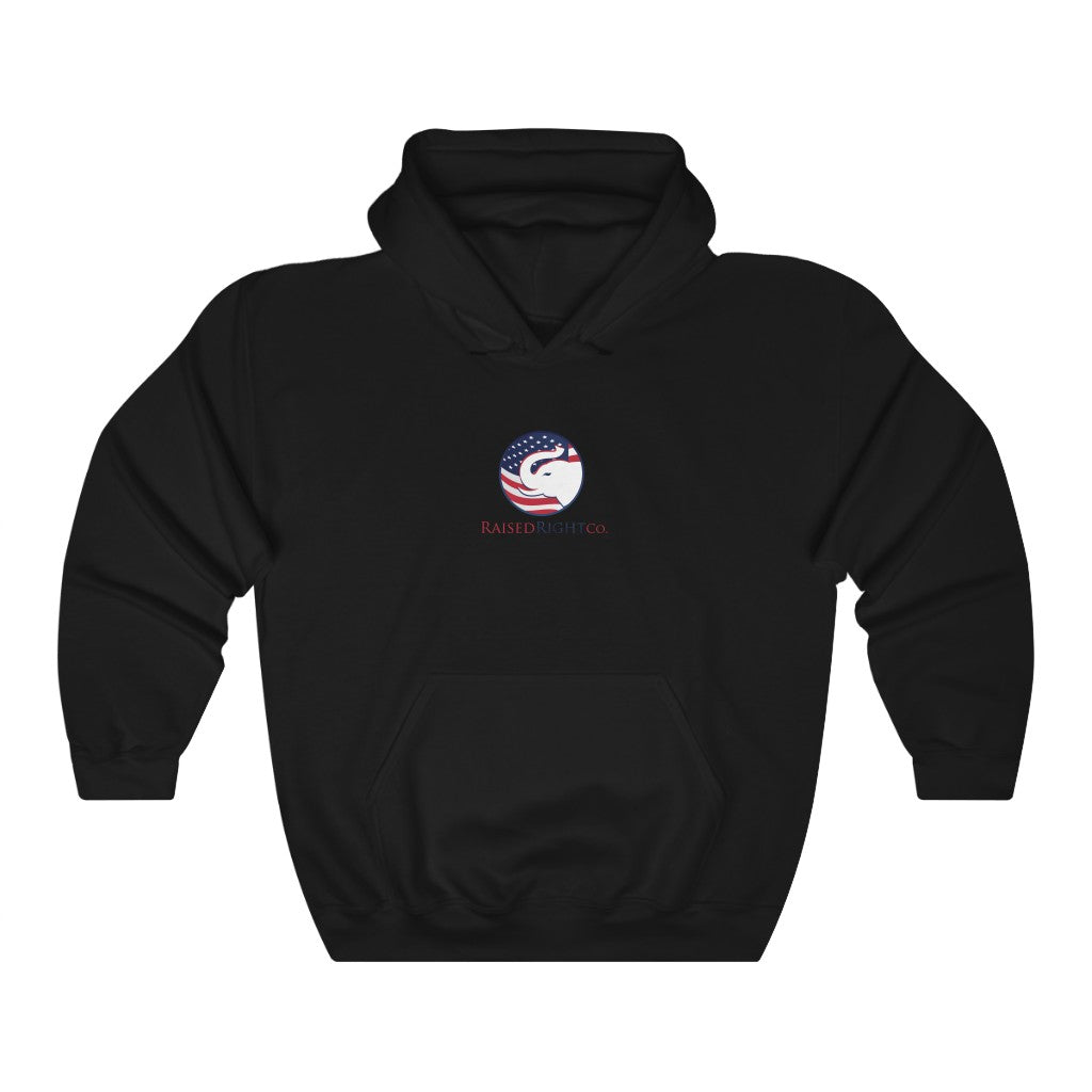 I COULD SH*T A BETTER PRESIDENT HOODIE