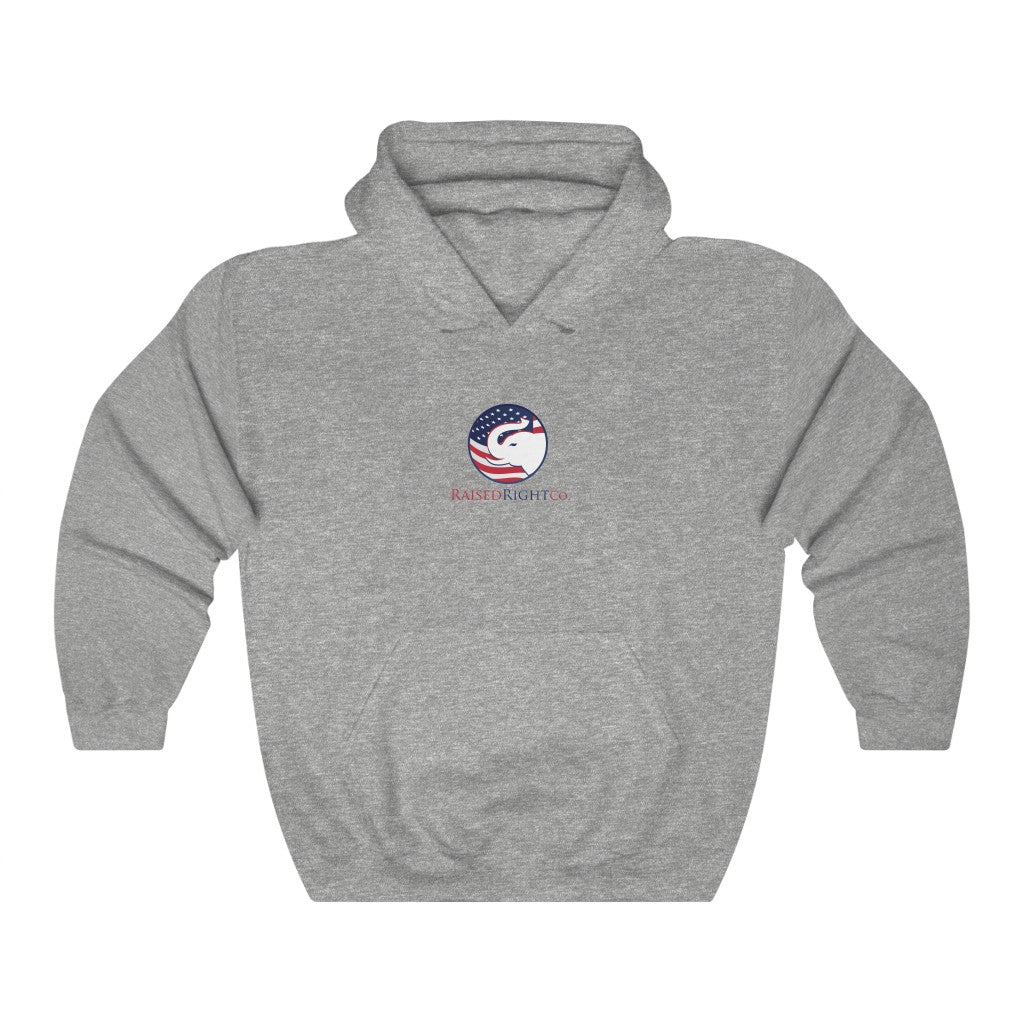 I COULD SH*T A BETTER PRESIDENT HOODIE